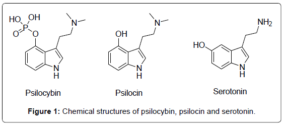 Psilocybin session