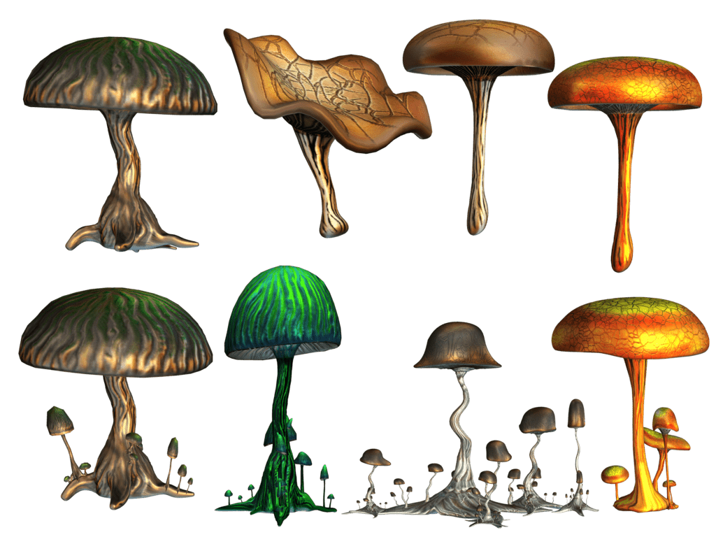 De helende effecten van (magische) paddenstoelen