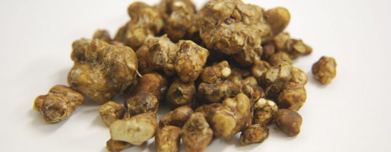 Wat is truffel therapie?